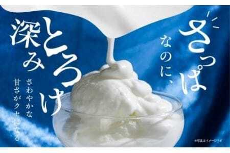 アイス フローズンヨーグルト 12個 アイス 1年 定期便　