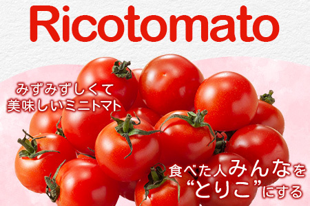 【先行予約】【2026年1月から出荷】【4回定期便】完熟ミニトマト Ricotomato 1kg 合計4kg 月1回 年4回発送 野菜 とまと トマト 佐賀産 佐賀県 鹿島市 送料無料 春 夏 旬 F