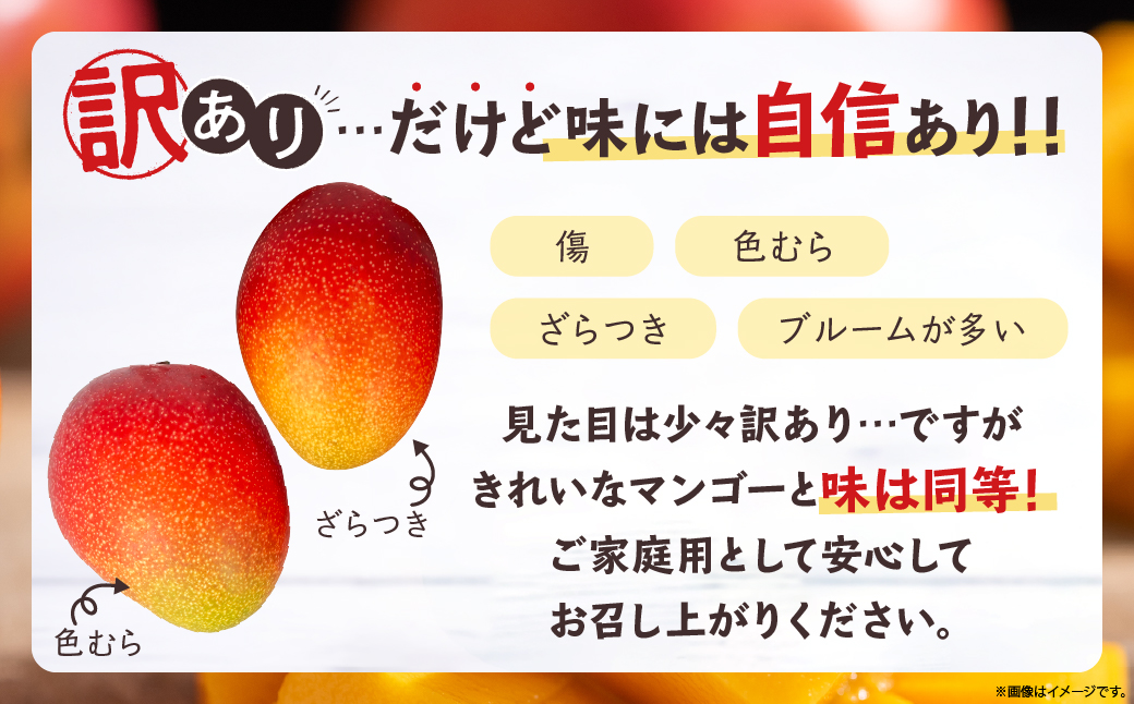 【訳あり】完熟マンゴー 2L×5玉（パック）【濃厚 高級 宮崎 果物 フルーツ 贈答 ギフト 甘い 先行受付 送料無料】【JA綾町】_A0114-1081