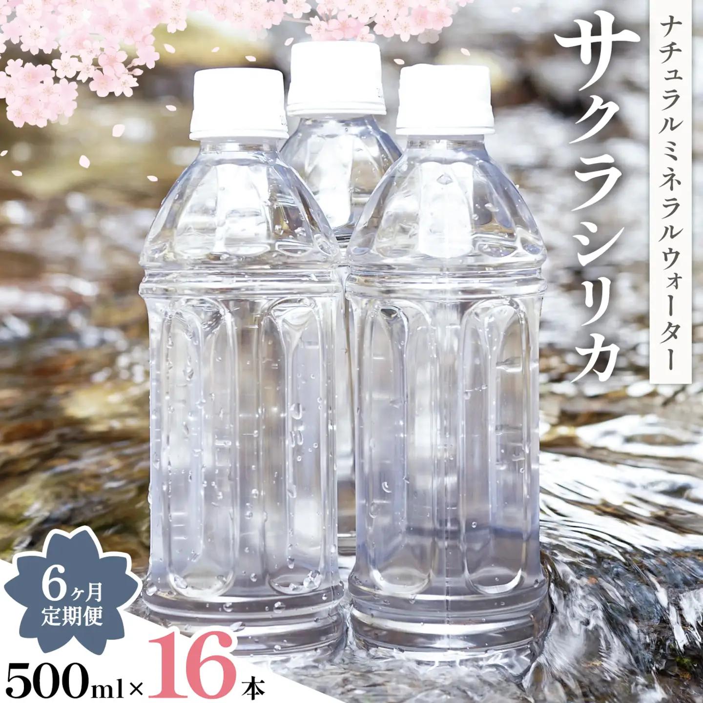 【6ヶ月定期便】サクラシリカ 500ml 16本 みずの里