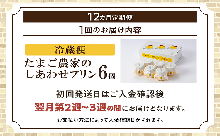 【定期便12ヶ月】たまご農家のしあわせプリン 6個セット