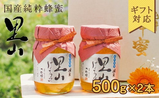【ギフト用】 かの蜂  国産里山蜂蜜【500g×2本】セット 養蜂一筋60年自慢の一品 蜂蜜 はちみつ ハチミツ 国産 年内配送 年内発送 お歳暮 御歳暮 お中元 御中元 贈り物 母の日 父の日 誕生日 プレゼント バースデー 敬老の日 ギフト