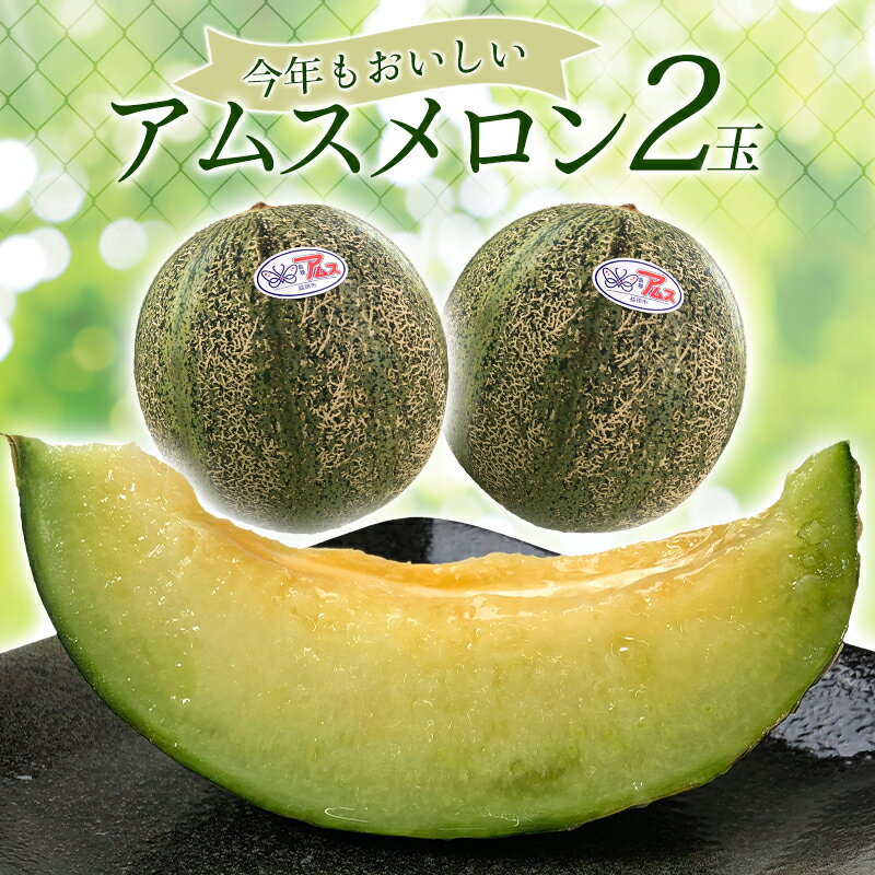 【ふるさと納税】 先行予約 期間限定 季節限定 早期予約 果物 くだもの フルーツ メロン アムスメロン 夏作 青肉