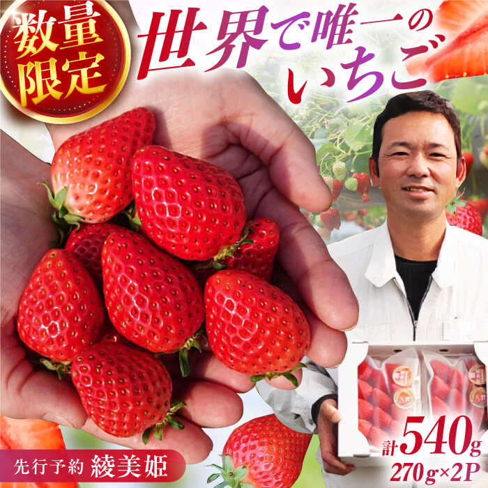 【ふるさと納税】【先行予約 2026年2月より発送】 〈幻のイチゴ〉綾美姫270g×2 広川町 / 石川農園[AFCC001]