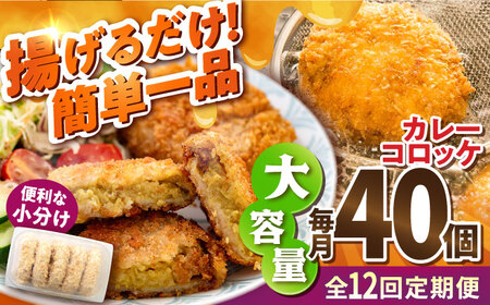 【全12回定期便】カレーコロッケ 40個 3.4kg ころっけ 冷凍 揚げ物 惣菜 コロッケ 横須賀 弁当 かれー カレー【有限会社丸伸商事】 [AKFH029]