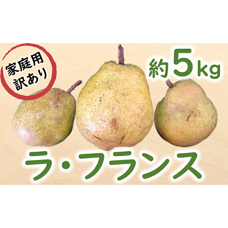 【ふるさと納税】 【令和8年産先行予約】 〈訳あり品 家庭用〉 ラ・フランス 約5kg (12～24玉) 《令和8年11月中旬～発送》 『カネタ高橋青果』 ラフランス 果物 フルーツ デザート 山形県 南陽市 [2674]
