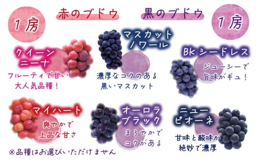 【2026年の先行予約】 岡山 花笑み農園『彩り３種セット』贈答用（1.8kg） 3M-2上 / ぶどう 詰め合わせ 食べ比べ シャインマスカット ピオーネ クイーンニーナ 岡山 真庭市 【hana0