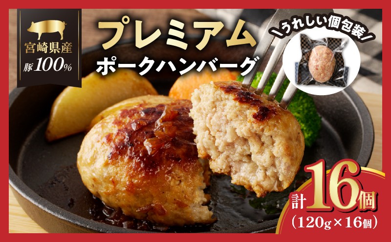 
                  ≪都農夏大祭!!≫宮崎県産豚プレミアムハンバーグ(計16個) 肉 豚肉 加工品 惣菜 国産_T001-0115-ZO
                