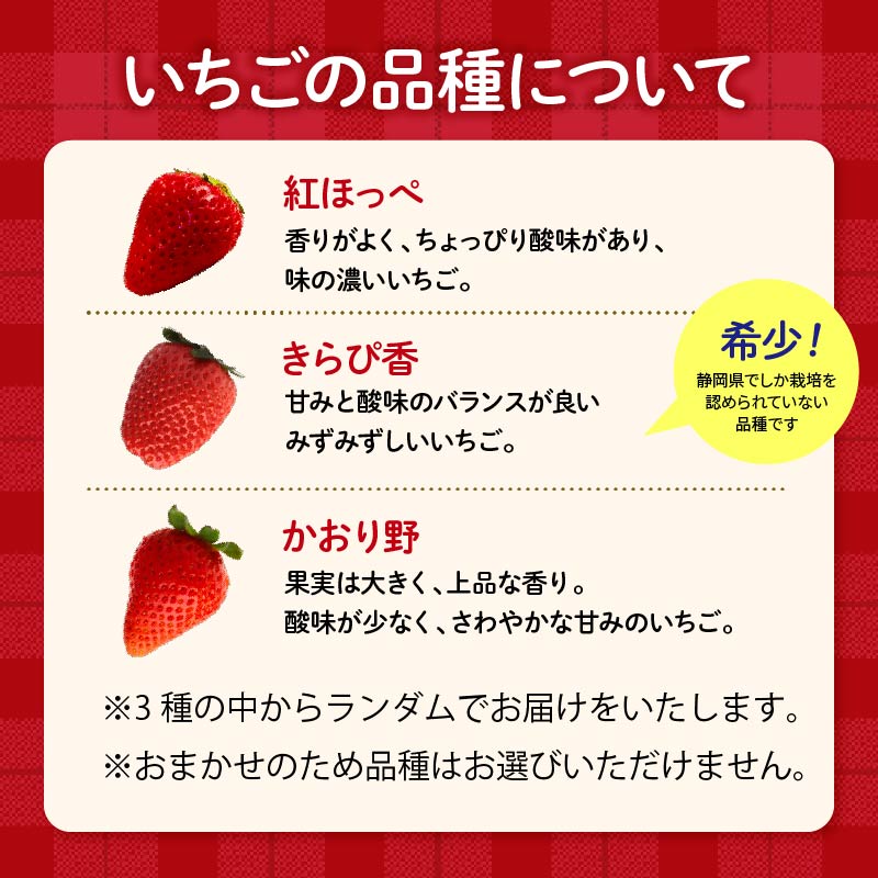【先行予約 2025年11月より順次発送】 フレッシュ いちご 1kg 以上 おまかせ 数量限定 苺 年内配送 産地 直送 イチゴ 紅ほっぺ きらぴ香 かおり野 フルーツ 果物 国産 ジャパンベリー オンライン決済限定 静岡県 藤枝市