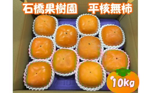 
            石橋果樹園 平核無柿 10玉（2.3～2.7kg）
          