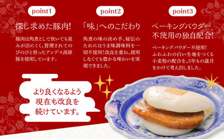 【全3回定期便】【化粧箱】長崎角煮まんじゅう2種[EAB034] 角煮まん 食べ比べ 定期 定期便