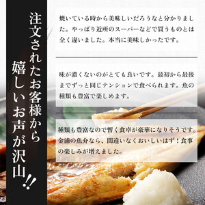 《6か月定期便》干物セット 15品程度(9種類程度) 干物