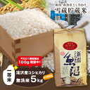 【ふるさと納税】令和6年産 湯沢産コシヒカリ 雪蔵貯蔵米 ＜無洗米＞5kg 精米したてのお米をお届け 【期間限定 100g増量中！】