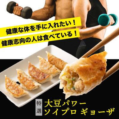 ふるさと納税 静岡市 大豆パワー ソイプロギョーザ(30個入×5袋) |  | 01