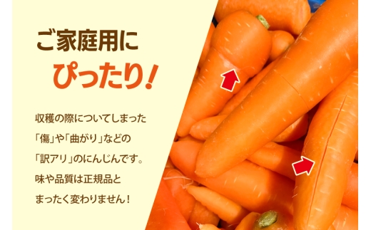 にんじん 訳あり 3kg 北陸富山の越冬人参！【期間限定発送】[マッキーファーム 富山県 朝日町 34310642] 人参 野菜 訳アリ ワケアリ わけあり 人参  ニンジン キャロット 3キロ やさ