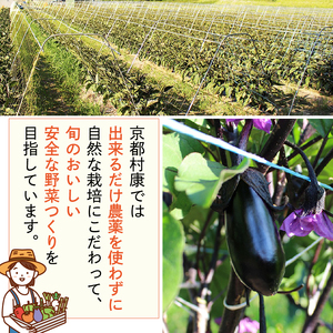 【訳あり】旬の野菜詰め合わせセット 4～5種類 訳あり 訳アリ 減農薬 野菜 旬 美味しい セット品 詰め合わせ 冷蔵 京田辺市 京都