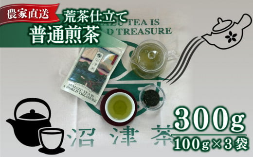 普通煎茶 100g 3袋 合計300g 普通 煎茶 2024年産 農家直送 お茶 茶葉 静岡 沼津