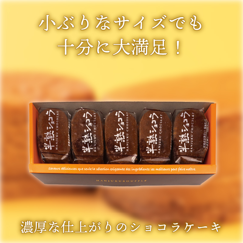 半熟スフレ ショコラケーキ 10個 5個入り 2箱 チョコレート ケーキ カカオ チーズ 贈答 ギフト おすすめ 菜菓亭 新潟銘菓 新潟 新発田 いえい 菜菓亭 洋菓子 お歳暮 iei002_02
