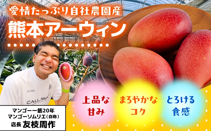 秀品 菊池マンゴー1玉 625g以上 4Lサイズ