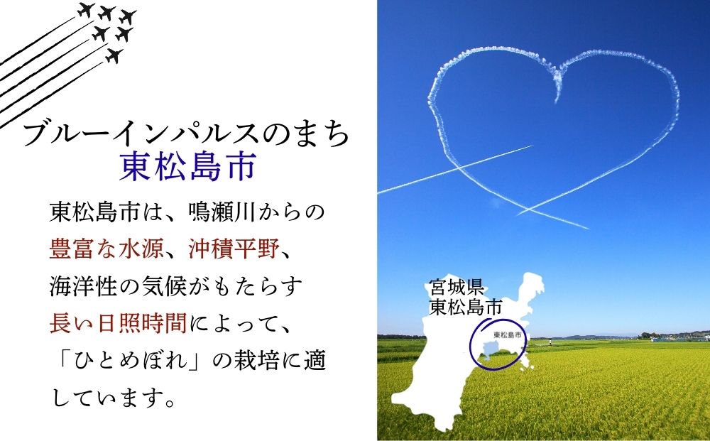 【 令和7年産】【新米】 ひとめぼれ 精米 10kg × 1袋 宮城県産東松島市農家直送 ヒトメボレ 米 ご飯 ごはん おにぎり お弁当 お米 こめ 宮城県 東松島市 オンラインワンストップ 自治体マ