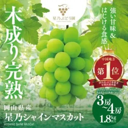 先行受付【三つ星ぶどう】星乃シャインマスカット (3房～4房 1.8kg以上) 岡山県産【配送不可地域：離島・北海道・沖縄県】【1746009】