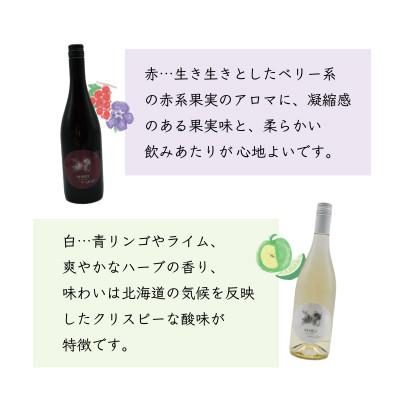 ふるさと納税 長沼町 MARO Wines ワイン 赤と白 計2本セット |  | 01