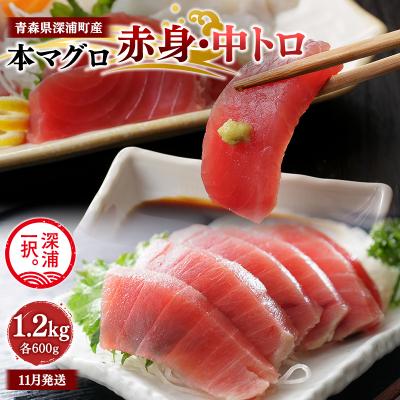 ふるさと納税 深浦町 青森県深浦町産 天然本マグロ 赤身 中トロ1.2kg 各600g  冷凍柵