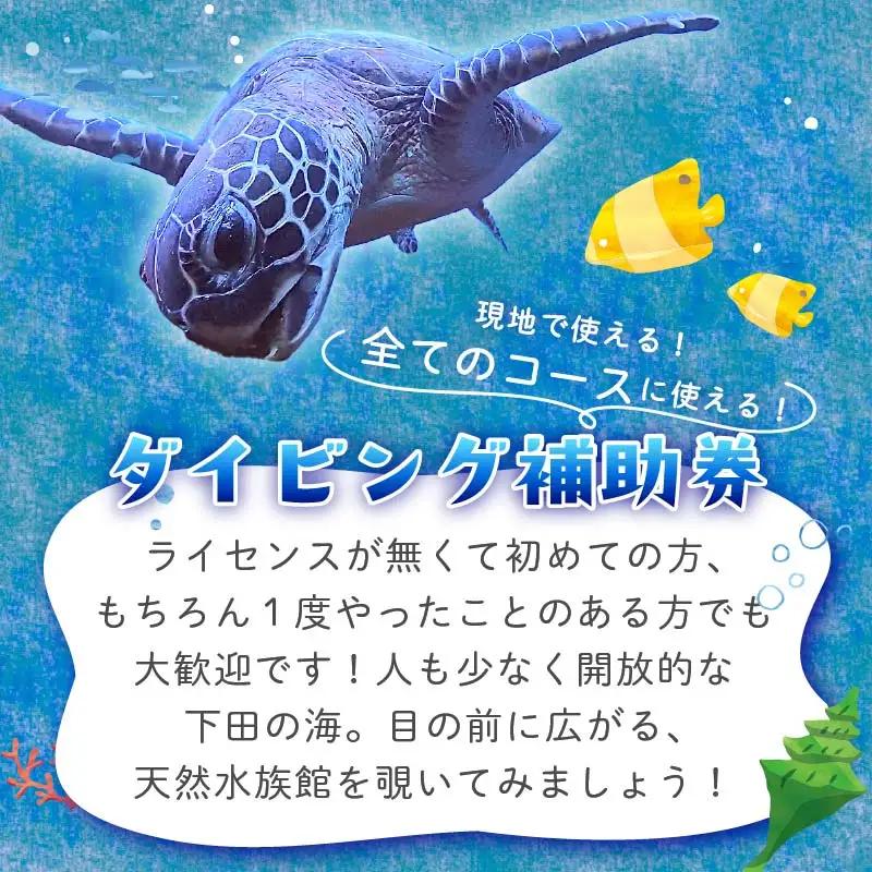 ダイビング 補助券 3,000円分 ダイビング 伊豆 下田