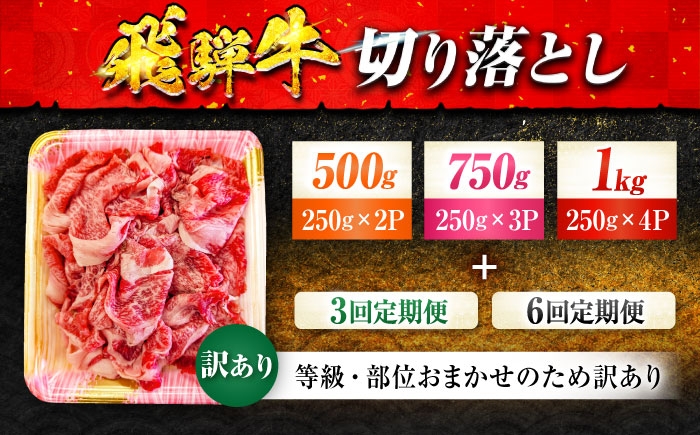 飛騨牛 切り落とし 牛肉 飛騨牛 切り落とし きりおとし 切りおとし 肉 和牛