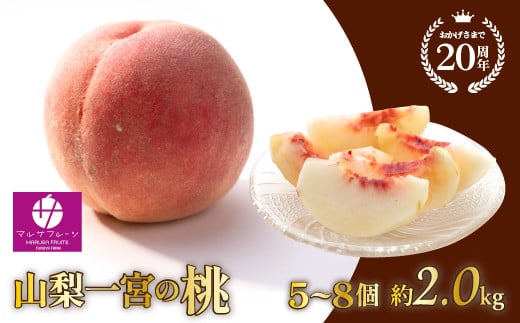【2026年発送★先行予約】山梨一宮産の桃  5〜8個入約2kg  朝採り産地直送 088-013-26y | もも 桃 発送 マルサフルーツ 古屋農園 山梨 笛吹 桃 ピーチ 果物 フルーツ 新鮮 旬 発送 2kg 有機 国産 もも 笛吹市 桃 高級 もも 山梨県笛吹市 果物 ピーチ 2025年発送 朝採り もも 朝採れ 桃 朝どれ モモ マルサフルーツ古屋農園 先行 山梨 |
