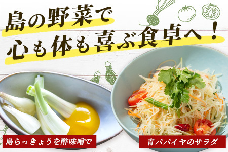 石垣島産 野菜BOX　1箱【６~８種類】野菜パワーをあなたに！！CK-1【野菜セット おまかせセット 旬 季節のお野菜 旬の野菜セット 島野菜 沖縄県 石垣市 石垣島 石垣 】