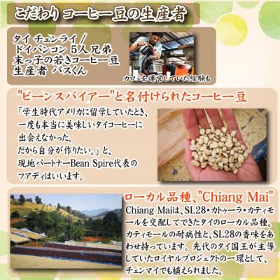 ふるさと納税 下関市 スペシャルティ コーヒー豆セット タイ 300g(100g×3袋) EW124 |  | 02