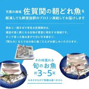 佐賀関産　朝獲れ鮮魚　おまかせ詰め合わせ　約2kg E04025
