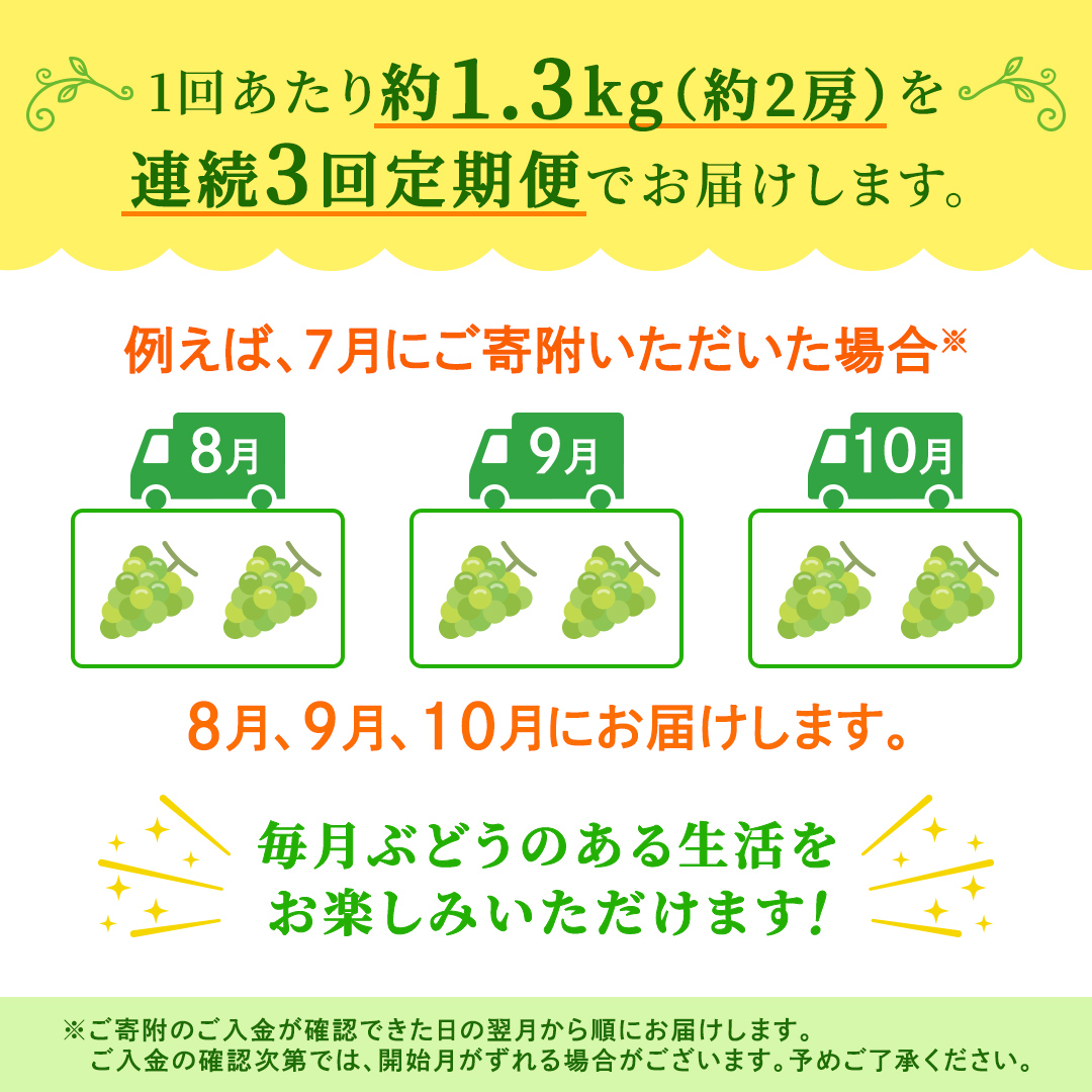 【定期便】3か月連続でお届け！ シャインマスカット 約1.3kg（約2房）【2026年8月から発送開始】（茨城県共通返礼品 [ぶどう]：結城市産） ぶどう ブドウ 葡萄 シャインマスカット 種なし 皮