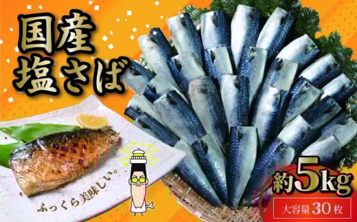 国産 塩サバフィレ ３0枚 約５kg 鯖 塩 さば 魚 さかな 海鮮 海産物 おかず サバ 鯖ご飯 おすすめ 人気 さば サバ 鯖 魚 魚介 海鮮 惣菜 塩サバ 塩鯖 焼き鯖 サバ 焼きさば 焼さば 減塩 塩 鯖 さば サバ ギフト おすすめ 人気 ふるさと納税 鯖 サバ さば ふるさと納税さば 国産サバ 国産さば 鯖 サバ さば 鯖 千葉県 銚子市 株式会社 大成