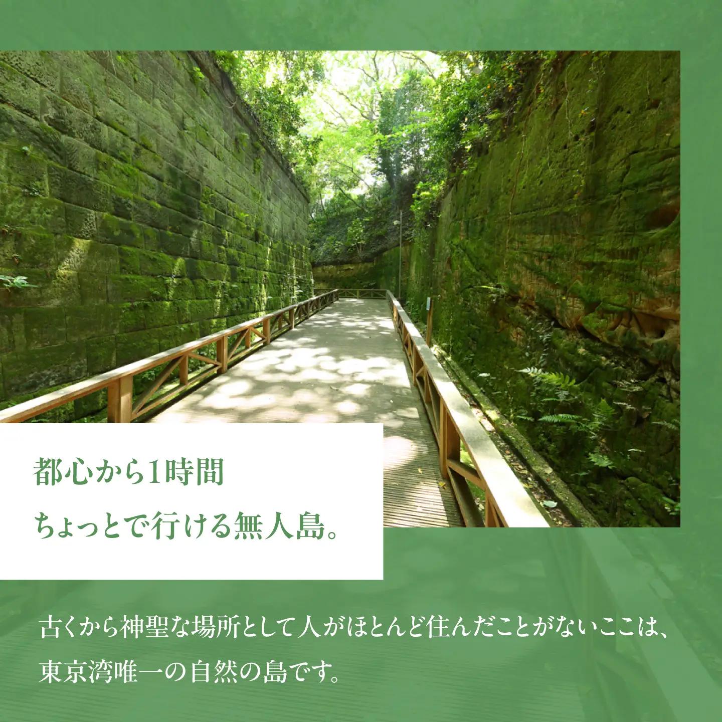 無人島・猿島航路の往復乗船券（ペア）【株式会社トライアングル】[AKFY002]
