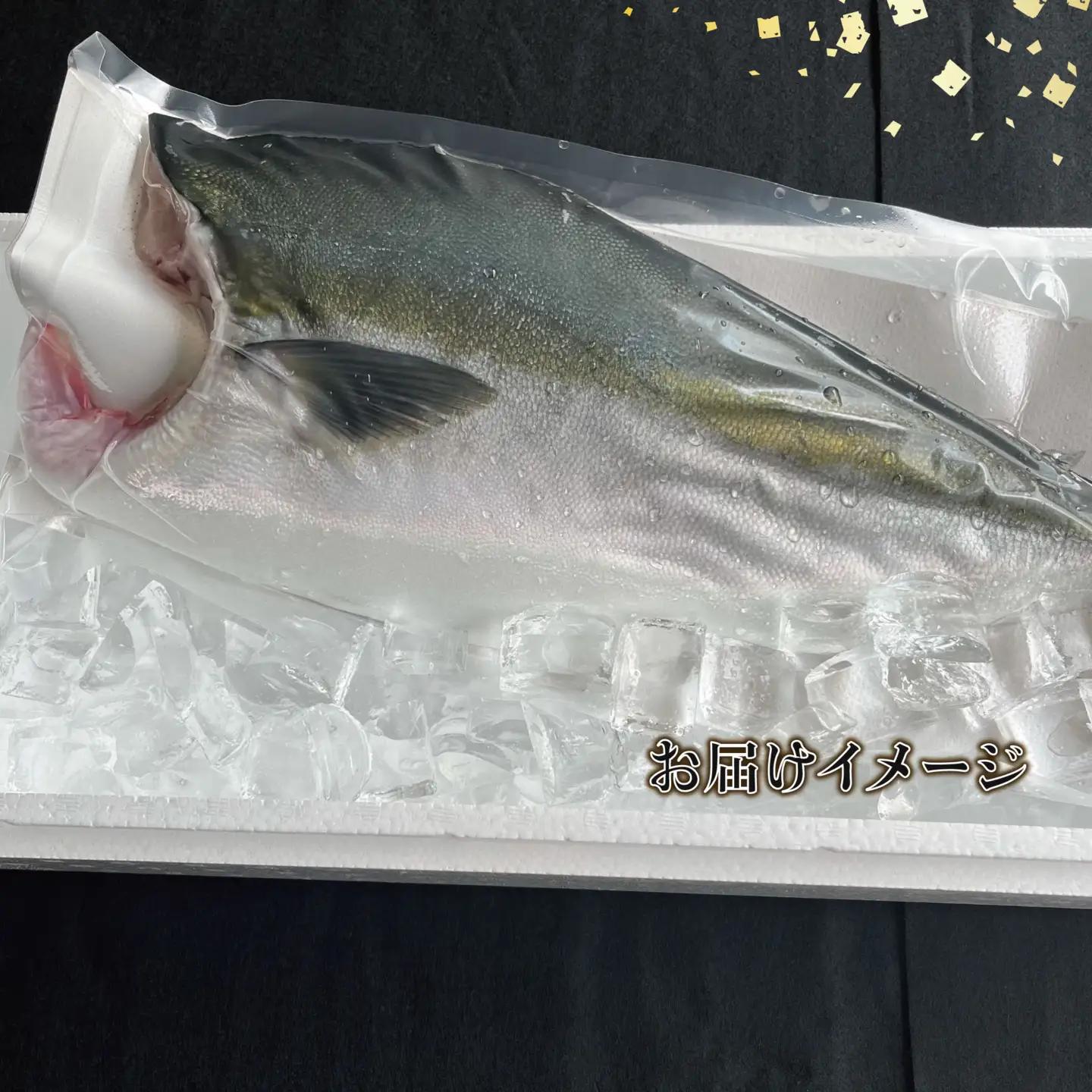 鰤 フィレ 約1.5kg 有限会社 アクアプラス 鰤 D020-090008