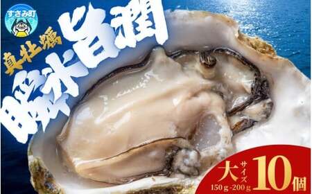 国産 急速冷凍牡蠣 加熱用 大サイズ 10個 / 牡蠣 殻付き 海鮮 かき カキ 冷凍 【mix007】