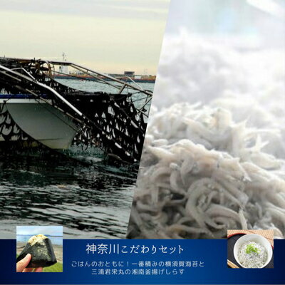 【ふるさと納税】【神奈川県からこだわりセット】ごはんのおとも!横須賀海苔と湘南釜揚げしらす【複数個口で配送】【配送不可地域：離島】【4014520】