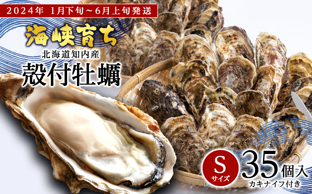 海峡育ち 殻付き牡蠣 Sサイズ 35個入り 牡蠣ナイフ付 かき カキ 貝 海鮮 BBQ ギフト ＜上磯郡漁業協同組合＞