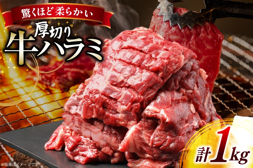 
                  牛 ステーキ 厚切り ハラミ 1kg [上球磨農産 熊本県 五木村 51120362] 牛肉 焼肉 肉 はらみ すてーき 下味付き 塩味 冷凍  
                