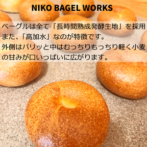 【2025年12月発送分】ベーグル おまかせ 10種セット 冷凍 ベーグル ベーグル ベーグル ベーグル パン 人気 小松島市 