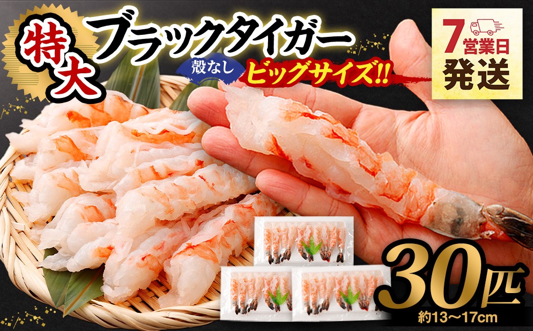 
                  超特大 ブラックタイガー 殻なし 30匹 ビッグサイズ （約13cm～約17cm） 【入金確認後7営業日以内に発送】 ｜ えび エビ 海老 むきえび むきエビ 剥きえび 剥き海老 海老フライ エビフライ えびフライ エビチリ エビマヨ 天丼 海鮮丼 すし スシ 寿司 むき身 海鮮 海産物 魚介類 大型 大容量 時短 簡単調理 ギフト プレゼント 誕生日 進物 贈り物 贈答 冷凍 大阪府 阪南市
                