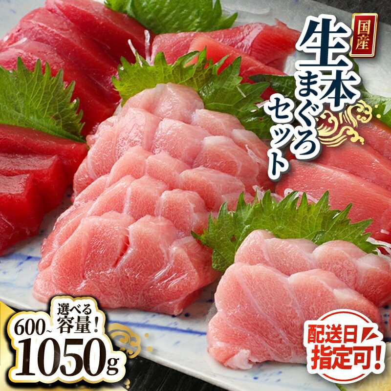 【ふるさと納税】【冷蔵・指定日着可】国産 生本マグロ堪能セット（柵どり）大トロ 中トロ 赤身 各200g・各350g/ 送料無料 福井県 越前市 鮪 生まぐろ 生マグロ 本鮪 大とろ 中とろ 新鮮 お刺身 海鮮丼 まぐろ丼 発送時期が選べる（18209）