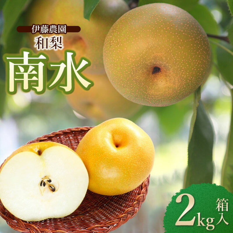 【ふるさと納税】【令和7年産先行予約】南水（和梨） 約2kg箱入（7〜9個）　山形県鶴岡市産
