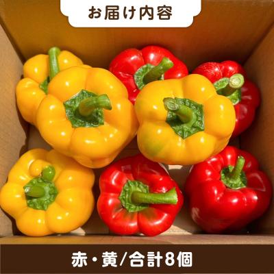 ふるさと納税 糸島市 糸島産 肉厚 パプリカ 8個 福岡県 糸島市 / シーブ [AHC031] |  | 01
