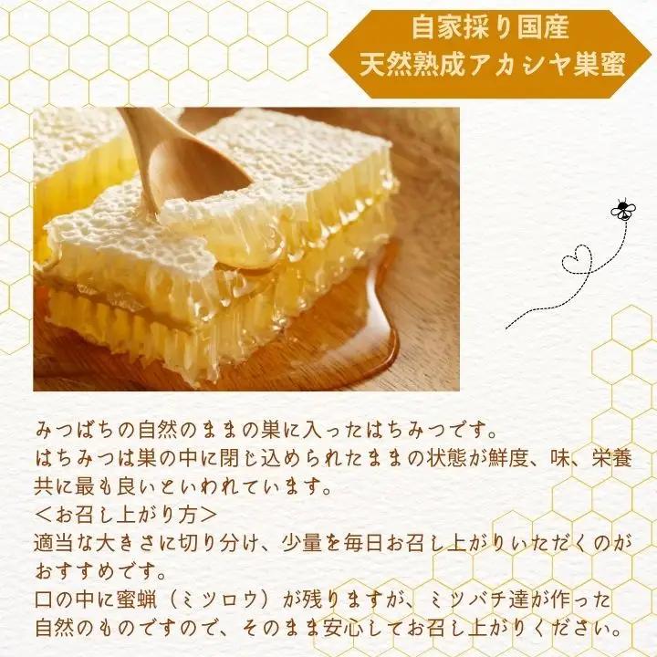 自家採り国産 天然熟成アカシヤ巣蜜  | ハチミツ 蜂蜜 【株式会社渡辺養蜂場】
