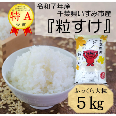 【令和7年産米】特A評価　ふっくら大粒　千葉県いすみ市産粒すけ　精米5kg