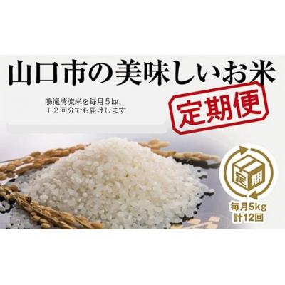 ふるさと納税 山口市 山口の美味しいお米定期便　5キログラム×12回(白米) A078