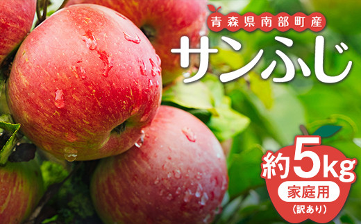 【訳あり】青森県南部町産りんご 家庭用サンふじ 約5kg【泉山果樹園】青森りんご リンゴ 林檎 アップル あおもり 青森 青森県 南部町 三戸 南部 果物 くだもの フルーツ 訳アリ わけあり 家庭用 規格外 3kg 以上 おすすめ F21U-402